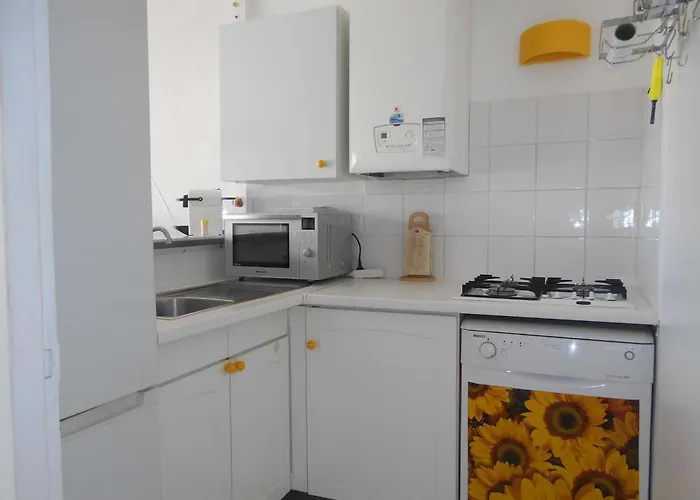 Marina Duplex 4 Couchages, Terrasse Et Solarium, Clim, Wifi, Parking, Port Camargue - Fr-1-250-217 * Le Grau-du-Roi